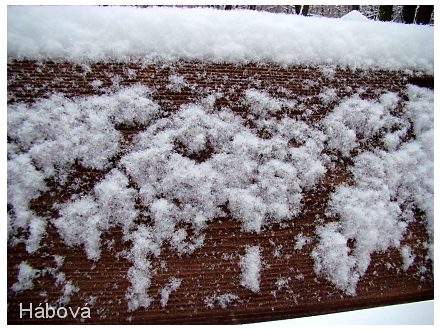 Vločky na lavičce Kateřina Hábová (2.A) Kunratický les - 10. 1. 2010