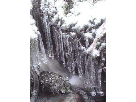 Rampouchořadí - Jan Homolka (septima) - nedaleko Jeleních vrchů (Šumava) - 21. 1. 2011